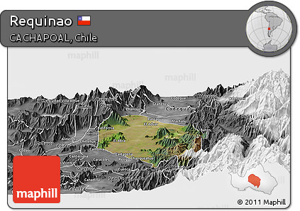 Satellite Panoramic Map of Requinao, desaturated