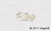 Shaded Relief Panoramic Map of Requinao, single color outside