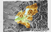 Physical 3D Map of Pucon, darken, desaturated