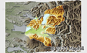 Physical 3D Map of Pucon, darken, semi-desaturated