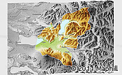 Physical 3D Map of Pucon, desaturated