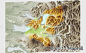 Physical 3D Map of Pucon, semi-desaturated