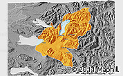 Political 3D Map of Pucon, desaturated
