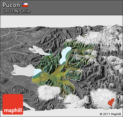 Satellite 3D Map of Pucon, desaturated