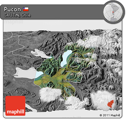 Satellite 3D Map of Pucon, desaturated