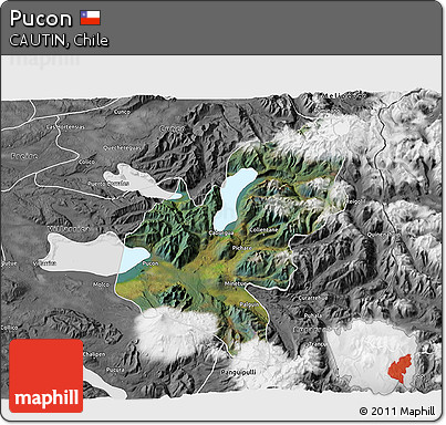 Satellite 3D Map of Pucon, desaturated