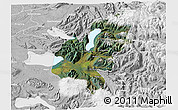 Satellite 3D Map of Pucon, lighten, desaturated
