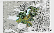 Satellite 3D Map of Pucon, lighten, semi-desaturated