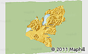 Savanna Style 3D Map of Pucon, single color outside