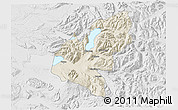 Shaded Relief 3D Map of Pucon, lighten, desaturated