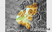 Physical Map of Pucon, darken, desaturated
