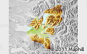 Physical Map of Pucon, lighten, desaturated