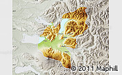 Physical Map of Pucon, lighten, semi-desaturated