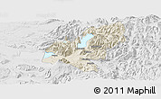 Shaded Relief Panoramic Map of Pucon, lighten, desaturated