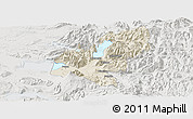 Shaded Relief Panoramic Map of Pucon, lighten, semi-desaturated