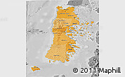 Political Shades 3D Map of CHILOE, desaturated