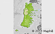 Physical Map of CHILOE, desaturated