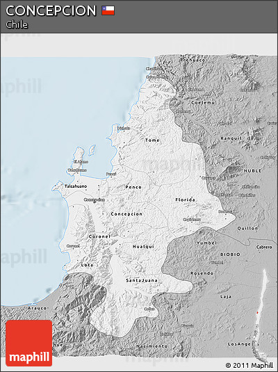 Gray 3D Map of CONCEPCION