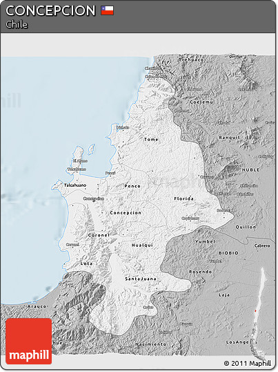 Gray 3D Map of CONCEPCION