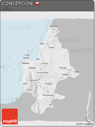 Gray 3D Map of CONCEPCION, single color outside