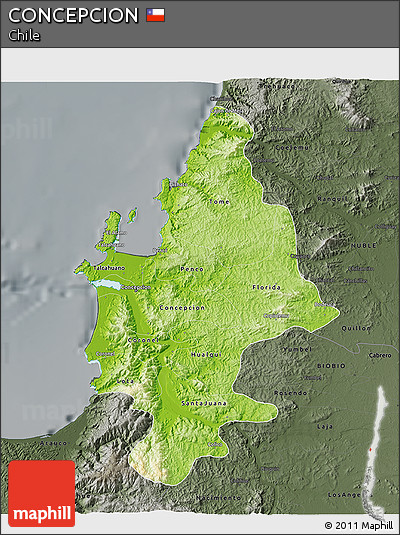 Physical 3D Map of CONCEPCION, darken, semi-desaturated