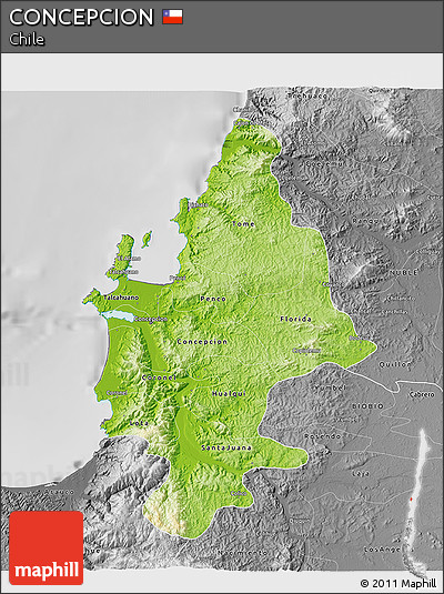 Physical 3D Map of CONCEPCION, desaturated