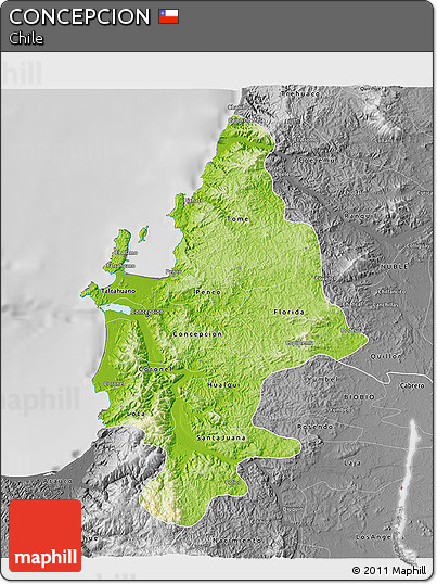 Physical 3D Map of CONCEPCION, desaturated