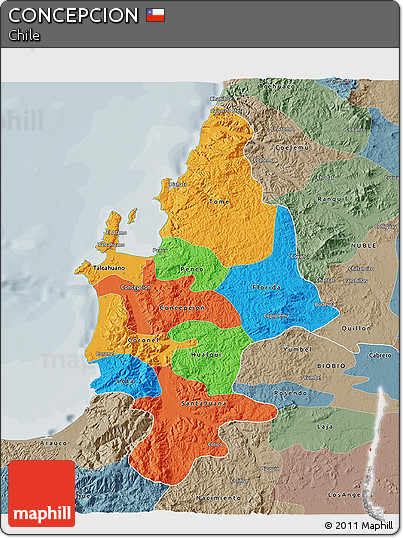 Political 3D Map of CONCEPCION, semi-desaturated