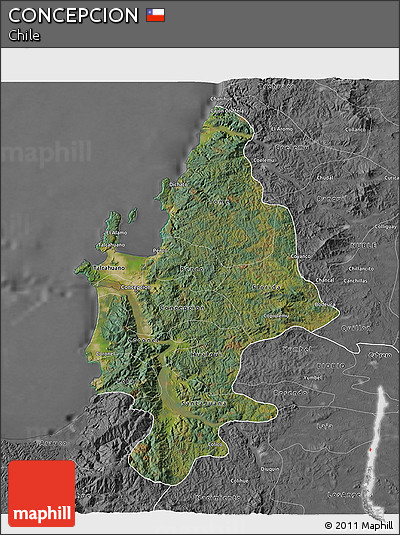 Satellite 3D Map of CONCEPCION, desaturated