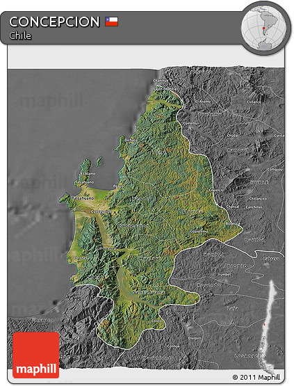 Satellite 3D Map of CONCEPCION, desaturated