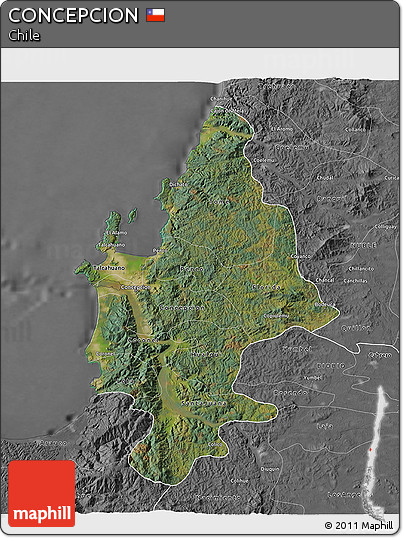 Satellite 3D Map of CONCEPCION, desaturated