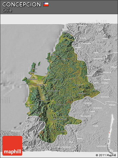 Satellite 3D Map of CONCEPCION, lighten, desaturated