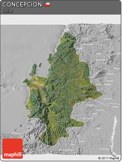 Satellite 3D Map of CONCEPCION, lighten, desaturated