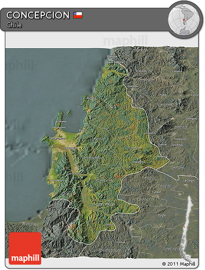 Satellite 3D Map of CONCEPCION, semi-desaturated