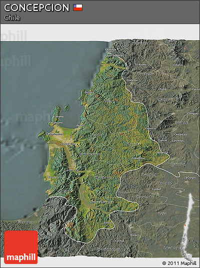 Satellite 3D Map of CONCEPCION, semi-desaturated
