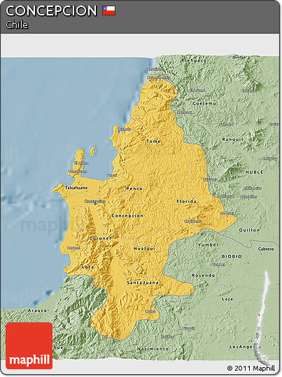Savanna Style 3D Map of CONCEPCION