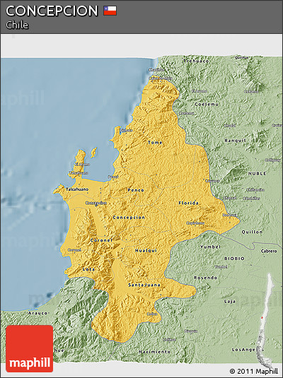 Savanna Style 3D Map of CONCEPCION