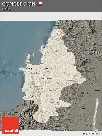Shaded Relief 3D Map of CONCEPCION, darken