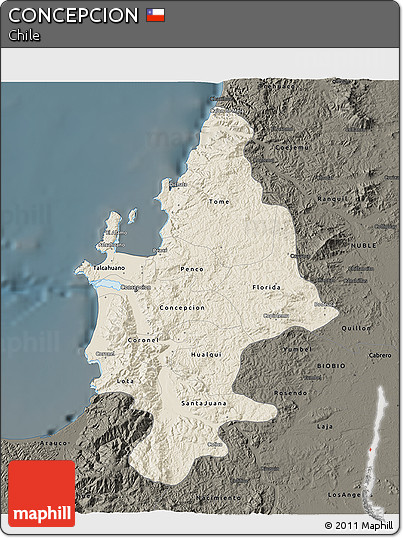 Shaded Relief 3D Map of CONCEPCION, darken