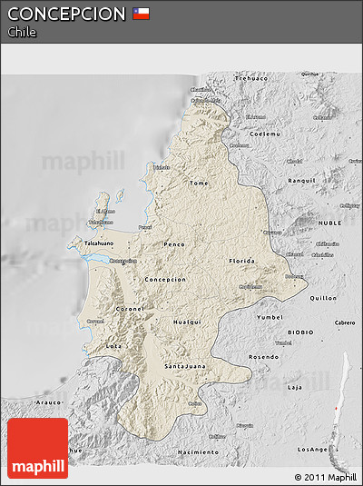 Shaded Relief 3D Map of CONCEPCION, desaturated