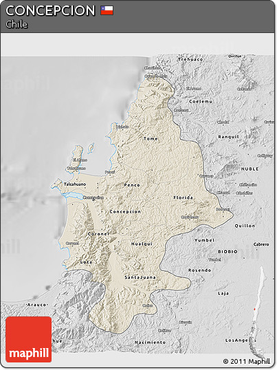 Shaded Relief 3D Map of CONCEPCION, desaturated
