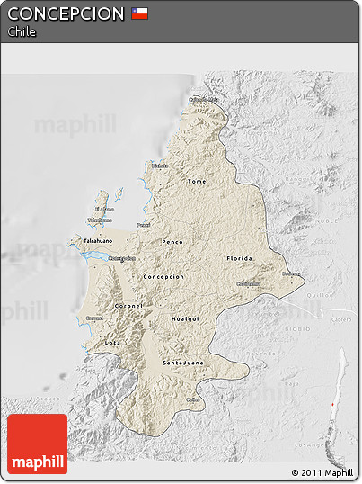 Shaded Relief 3D Map of CONCEPCION, lighten, desaturated
