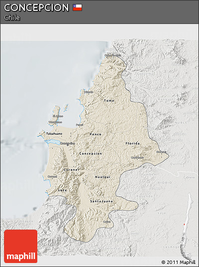 Shaded Relief 3D Map of CONCEPCION, lighten, semi-desaturated