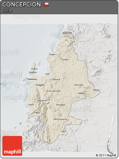 Shaded Relief 3D Map of CONCEPCION, lighten, semi-desaturated
