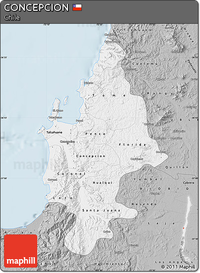 Gray Map of CONCEPCION