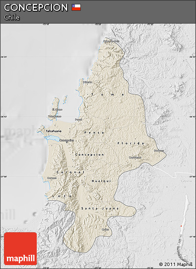 Shaded Relief Map of CONCEPCION, lighten, desaturated