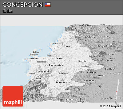 Gray Panoramic Map of CONCEPCION