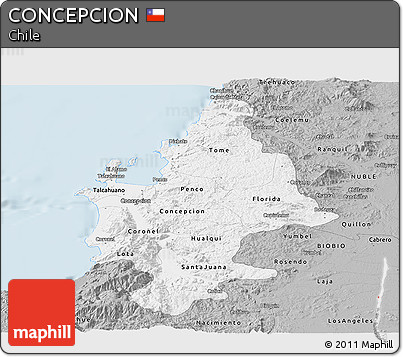 Gray Panoramic Map of CONCEPCION