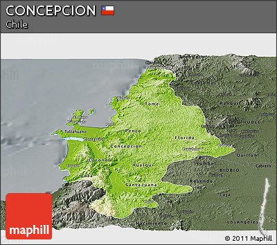 Physical Panoramic Map of CONCEPCION, darken, semi-desaturated