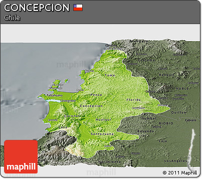 Physical Panoramic Map of CONCEPCION, darken, semi-desaturated
